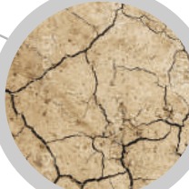 Cracked dry earth.