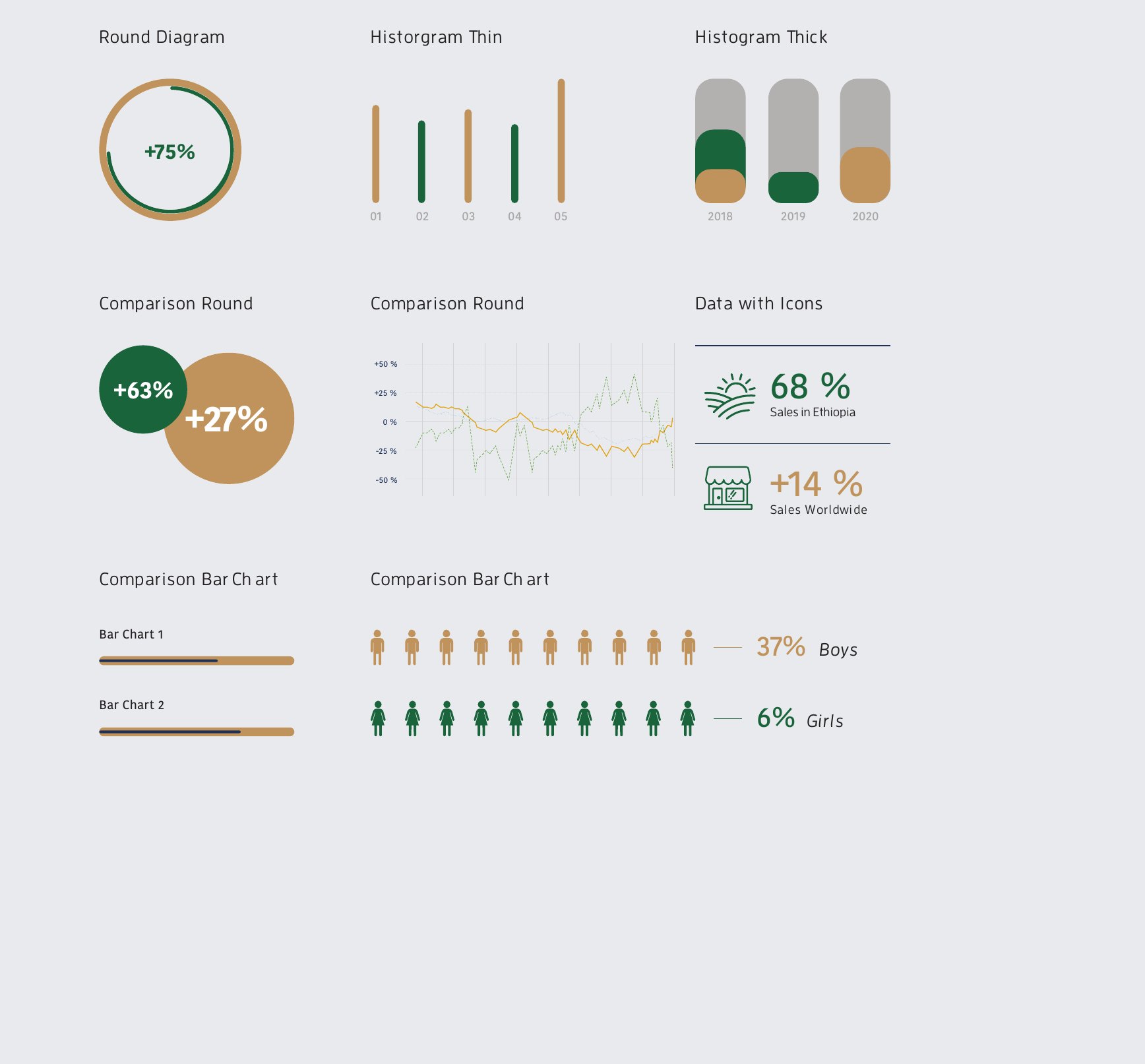 Guideline page: infographic styles in brand colours, including round diagrams, histograms, comparison charts and data with icons.