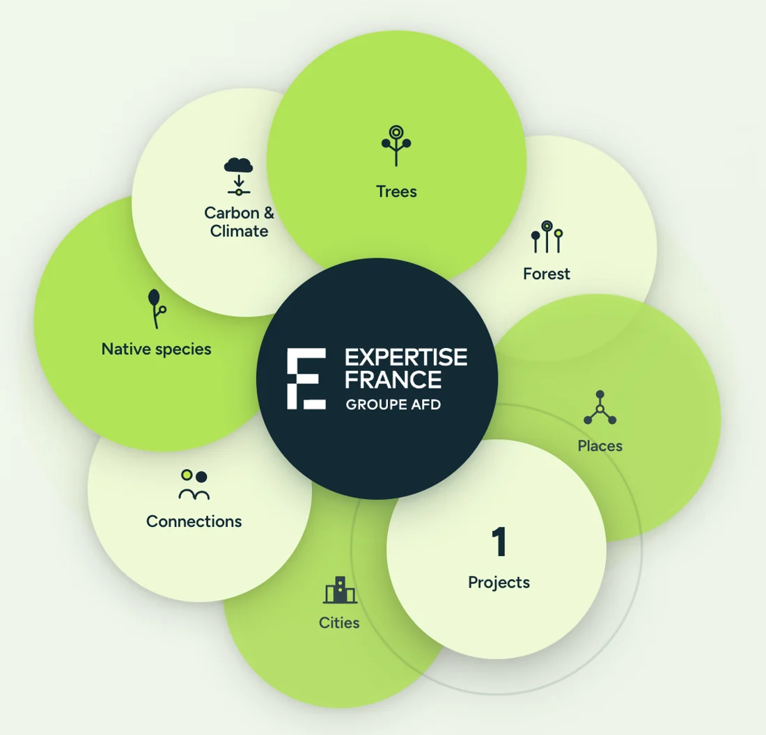 The Expertise France organization profile on Qeyé.