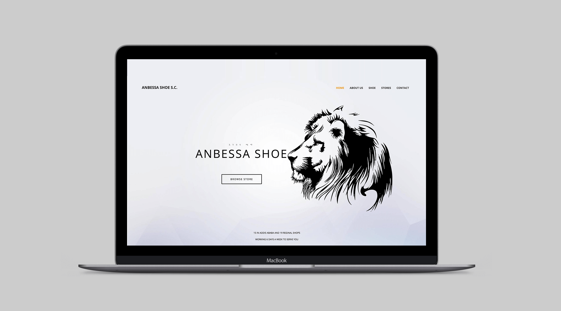 Anbessa Shoe Website Design